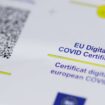 Pošta Srbije: Posle kraćeg prekida normalizovano izdavanje digitalnih zelenih sertifikata 26