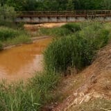 Prva ekološka buna u krvi ugušena 3