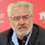 Branimir Nestorović: Doktor za zmajeve 2