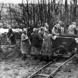 Gromoglasna šutnja o Holokaustu: Autorski tekst Jaroslava Pecnika 5