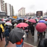 ekoloski protest novi sad