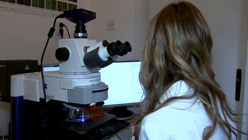 Deo zaposlenih boji se da će INEP biti privatizovan 1