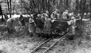 Poziv nastavnicima da se prijave za obuku „Holokaust kao polazna tačka“