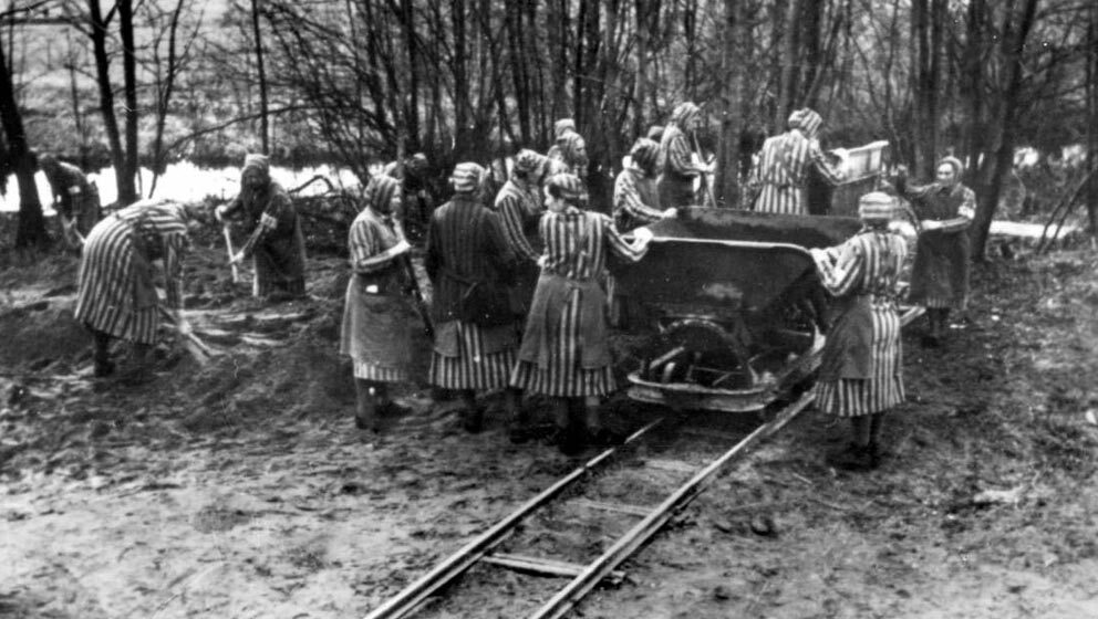 Poziv nastavnicima da se prijave za obuku "Holokaust kao polazna tačka" 11