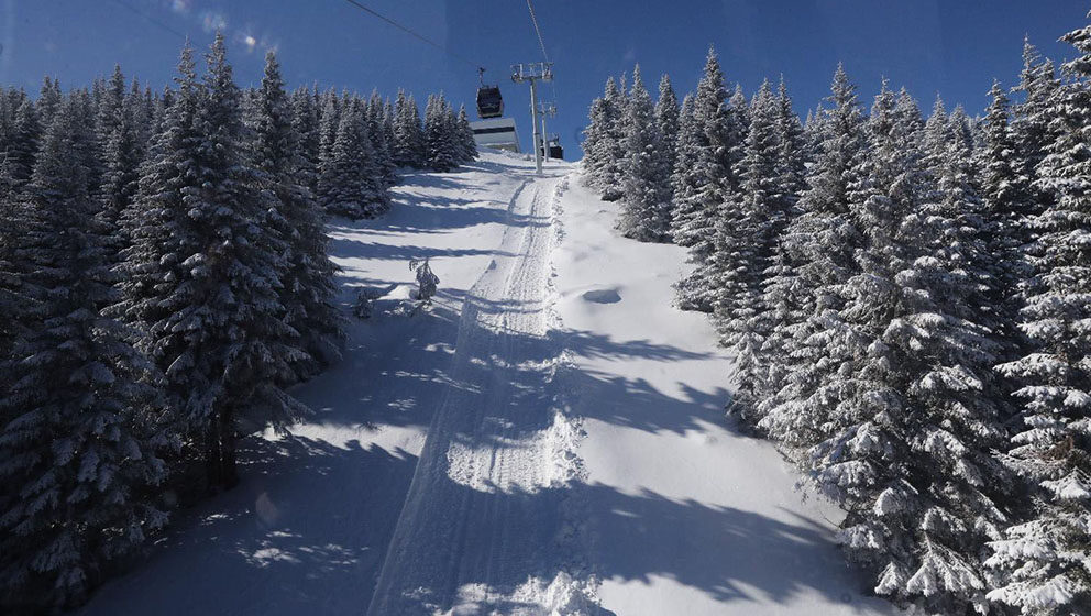 Seča šuma na Kopaoniku i Zlatiboru zbog izgradnje novih ski-staza 1