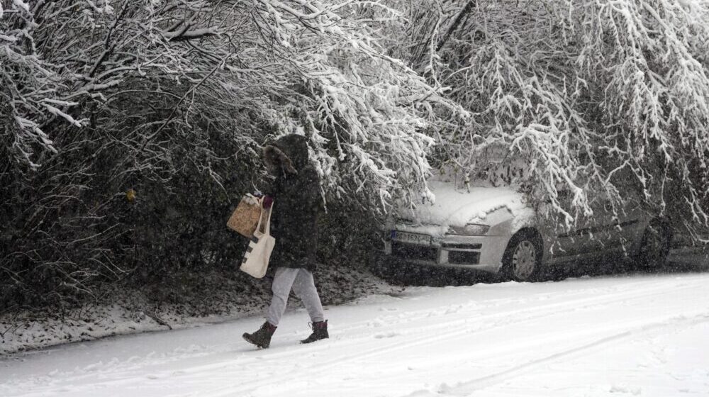 Polomljena stabla ometaju saobraćaj u Beogradu 1