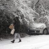 Polomljena stabla ometaju saobraćaj u Beogradu 10