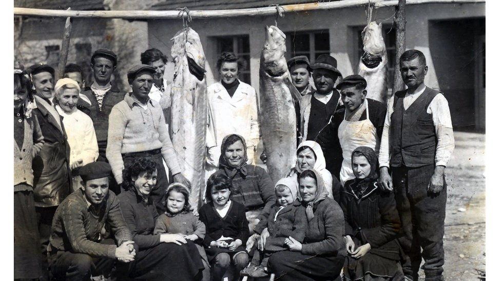 Srbija, hrana i priroda: Kladovski kavijar - crno zlato iz plavog Dunava 1 Kladovski kavijar