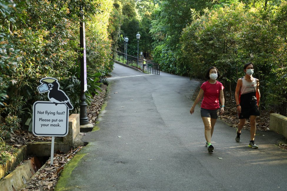 Životinje i Singapur: Vidre napale čoveka u Botaničkoj bašti, uplašio se da će ga ubiti 2 People wearing face masks against Covid walk past a sign encouraging the use of masks at Singapore's Botanic Gardens