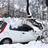 Srbija, sneg i prirodne nepogode: Kako naplatiti štetu ako vam stablo uništi automobil 6