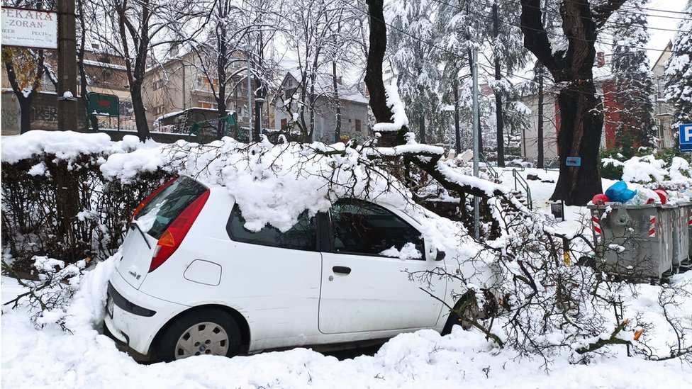 Srbija, sneg i prirodne nepogode: Kako naplatiti štetu ako vam stablo uništi automobil 1 Automobil Ruže Injac je oštetilo stablo koje se urušilo na njega