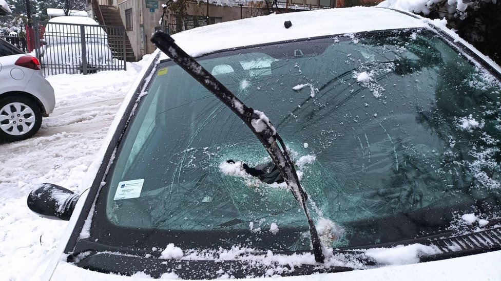 Srbija, sneg i prirodne nepogode: Kako naplatiti štetu ako vam stablo uništi automobil 2 Automobil Ruže Injac