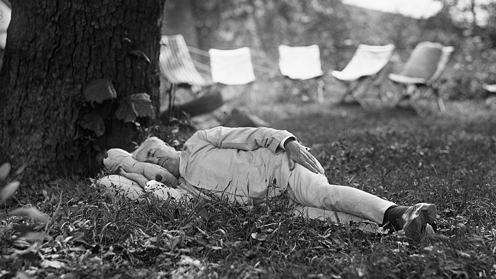 Thomas Edison durmiendo bajo un árbol
