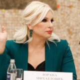 Ministarstvo energetike: Obezbeđeno dovoljno energenata za proizodnju električne energije 13