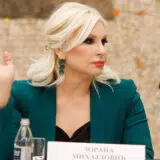 Zorana Mihajlović: Ekološki protesti politički zloupotrebljeni 14