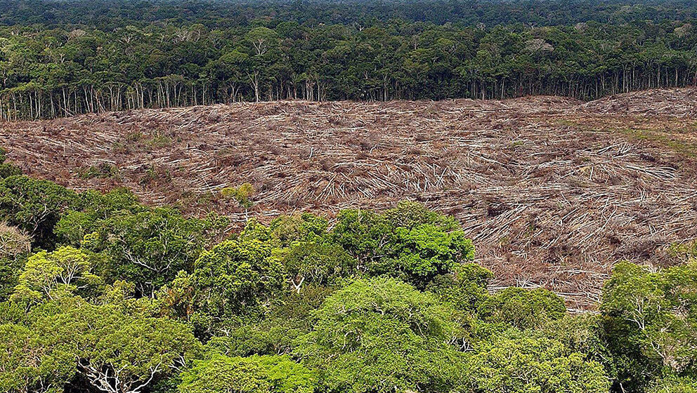 U februaru zabeleženo rekordnih 3.000 požara u brazilskoj Amazoniji, krivac su – klimatske promene 1