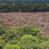 U februaru zabeleženo rekordnih 3.000 požara u brazilskoj Amazoniji, krivac su – klimatske promene 12