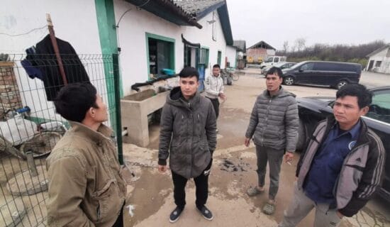 Eksperti UN duboko zabrinuti zbog sumnji na krijumčarenje vijetnamskih radnika u Srbiju 10