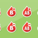 Kladovo: Prošle godine prikupljene 463 jedinice krvi, sutra akcija dobrovoljnog davanja u Domu kulture 11