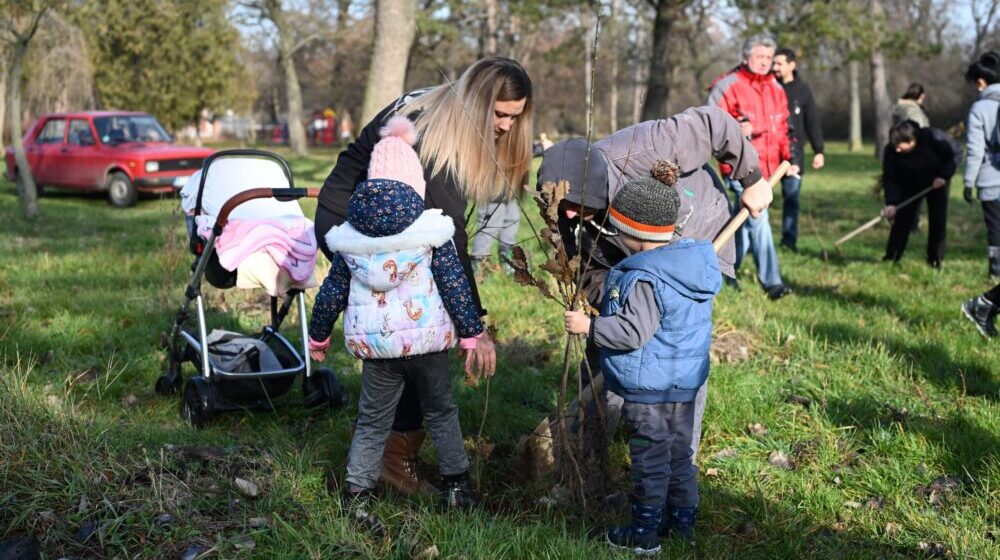 SBB fondacija sutra sadi 1.600 sadnica u parku Bubanj u Nišu 1