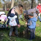 Bečej, Bačka Topola i Kljajićevo bogatiji za 2.600 sadnica 11