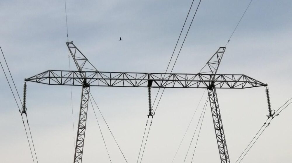 Labudovi i guske najviše stradaju na dalekovodima 1