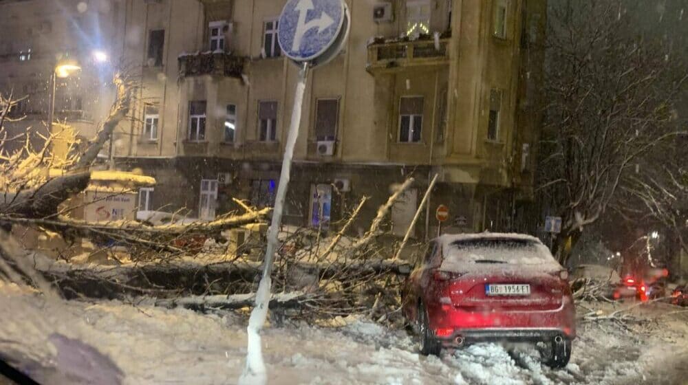 Vesić: U Beogradu zbog snega palo više od 300 stabala i 41 bandera 1