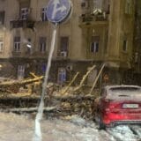 Vesić: U Beogradu zbog snega palo više od 300 stabala i 41 bandera 7