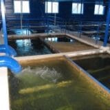 Niš: Opet bez vode deo grada od Njegoševe ulice do Minovog naselja 7