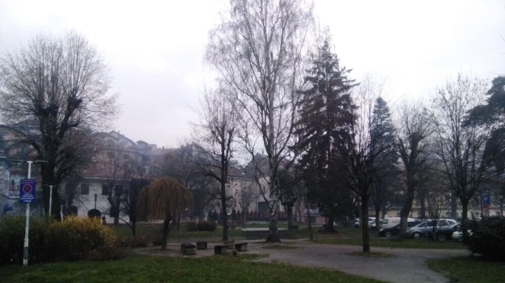 Podela besplatnih sadnica belog jasena u Užicu 1