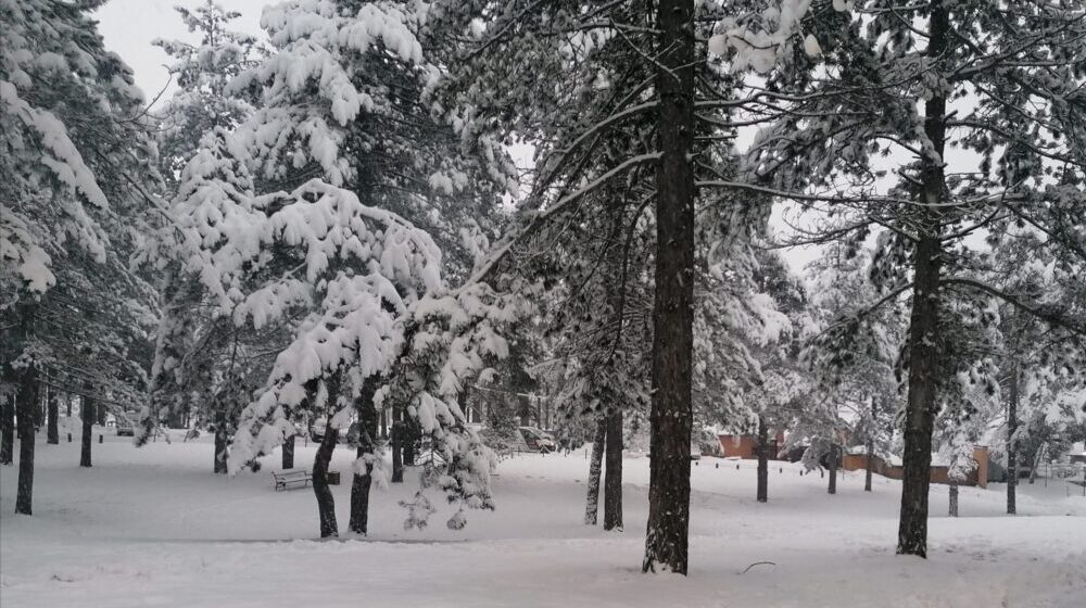 Tragičan kraj potrage za ženom nestalom na Zlatiboru 1