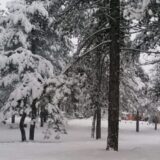 Tragičan kraj potrage za ženom nestalom na Zlatiboru 12