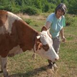 "Japanka" sa Miroča: Treba da voliš ono što radiš i da budeš istrajan 2