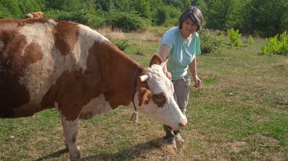"Japanka" sa Miroča: Treba da voliš ono što radiš i da budeš istrajan 1