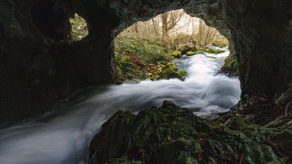 Užičanka Tijana Jevtić: Aktivista sam povremeno, prirodnjak sam za ceo život (FOTO) 3 Užičanka Tijana Jevtić: Aktivista sam povremeno, prirodnjak sam za ceo život (FOTO) 3