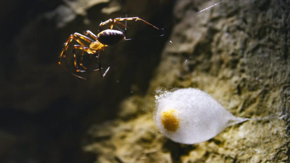 Užičanka Tijana Jevtić: Aktivista sam povremeno, prirodnjak sam za ceo život (FOTO) 4 Užičanka Tijana Jevtić: Aktivista sam povremeno, prirodnjak sam za ceo život (FOTO) 10