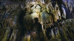 Jevtic_Tijana_Seni_2019 07 13 Užičanka Tijana Jevtić: Aktivista sam povremeno, prirodnjak sam za ceo život (FOTO) 9