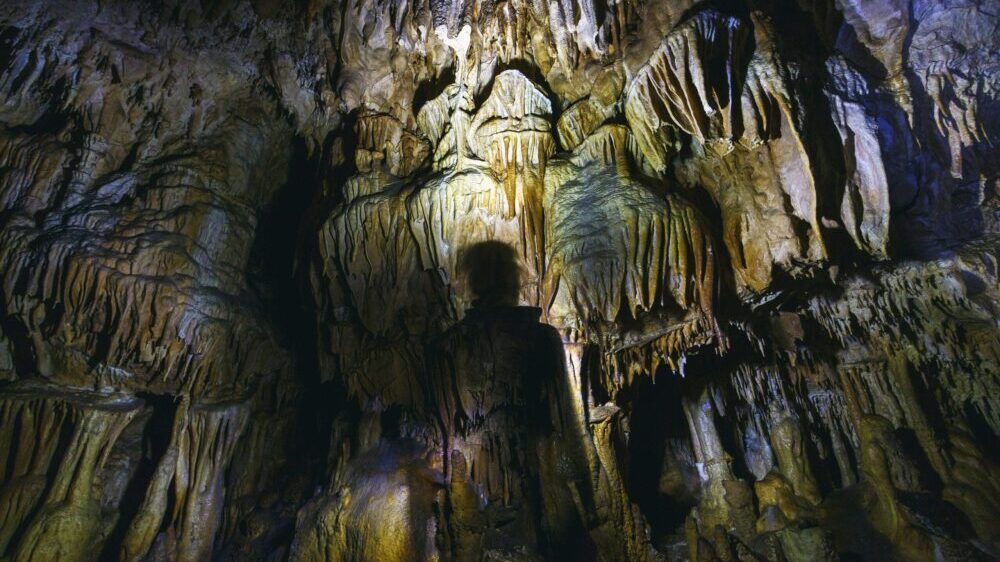 Užičanka Tijana Jevtić: Aktivista sam povremeno, prirodnjak sam za ceo život (FOTO) 2 Užičanka Tijana Jevtić: Aktivista sam povremeno, prirodnjak sam za ceo život (FOTO) 2