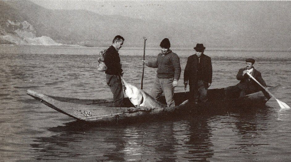 Nikoljdan među lađarima i ribarima Donjeg Milanovca 2