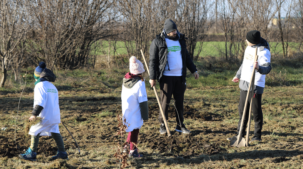 SBB fondacija posadila preko 1.500 stabala u Kikindi 1