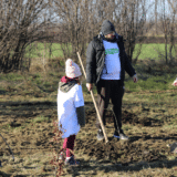 SBB fondacija posadila preko 1.500 stabala u Kikindi 9