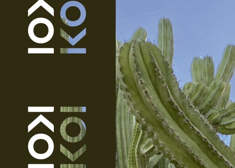 Bendovi „Cactus fields” i „KOIKOI” večeras u Kontakt galeriji u Kragujevcu 1