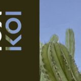 Bendovi „Cactus fields” i „KOIKOI” večeras u Kontakt galeriji u Kragujevcu 9