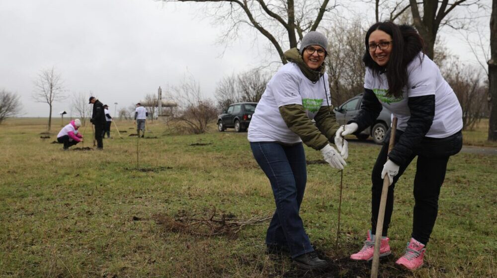 Velika akcija pošumljavanja SBB fondacije u Zrenjaninu 1