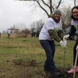 Velika akcija pošumljavanja SBB fondacije u Zrenjaninu 10