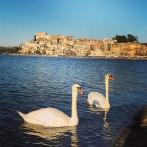 Rezervisanost je način na koji Englezi brane svoju intimu, svaka poseta Srbiji je slatko-gorka pilula 3 Rezervisanost je način na koji Englezi brane svoju intimu, svaka poseta Srbiji je slatko-gorka pilula 3