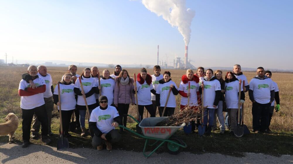 SBB fondacija posadila još 2.600 stabala u Viminacijumu i Pirotu 1