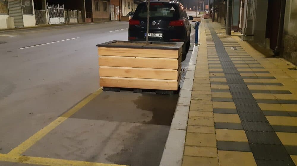 SSP Vranje: Gradonačelniče, gde se mlado drveće sadi u decembru 1