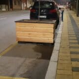 SSP Vranje: Gradonačelniče, gde se mlado drveće sadi u decembru 1