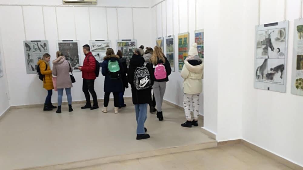 Zrenjaninski Stripolis stigao do Apatina 1